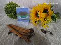 Blue volcano coconut soap