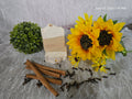 Oatmeal, Milk and honey Coconut Soap